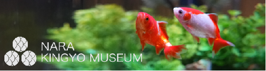 奈良金魚ミュージアム